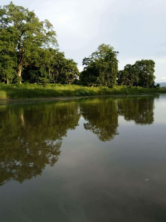 Unique Wild Resort Sauraha Exterior foto