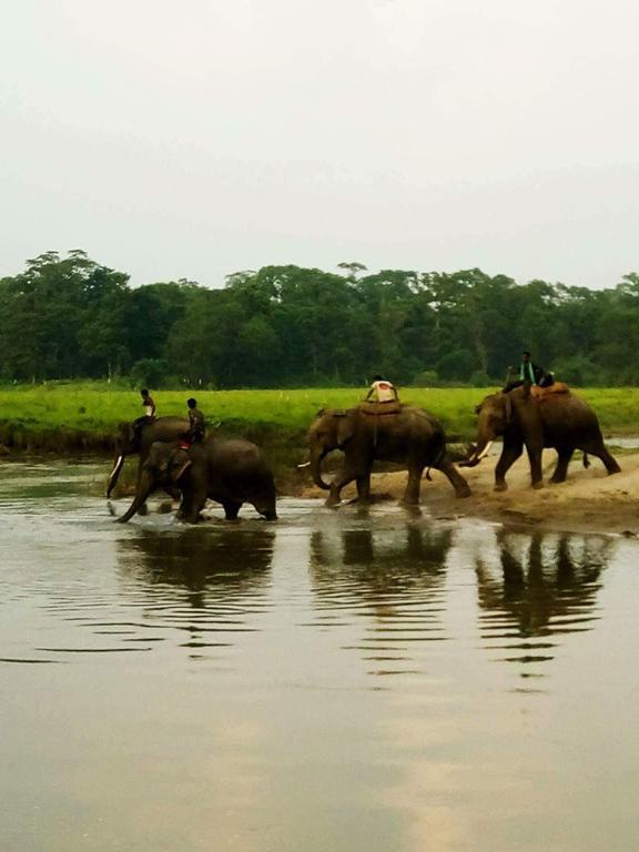Unique Wild Resort Sauraha Exterior foto