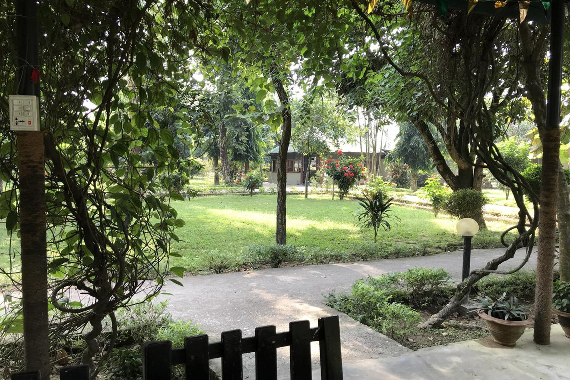 Unique Wild Resort Sauraha Exterior foto
