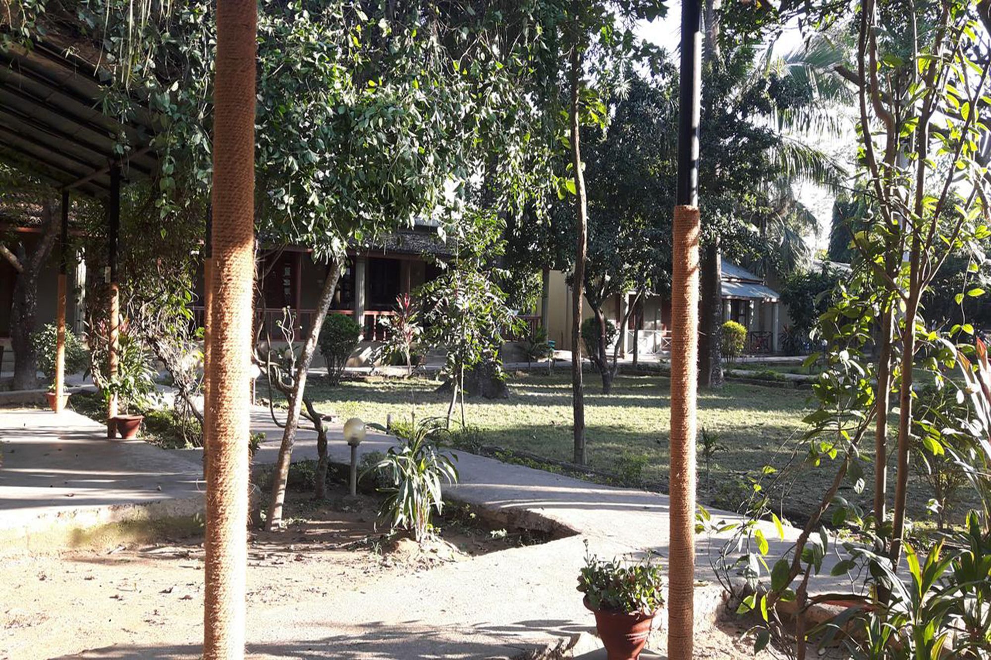Unique Wild Resort Sauraha Exterior foto
