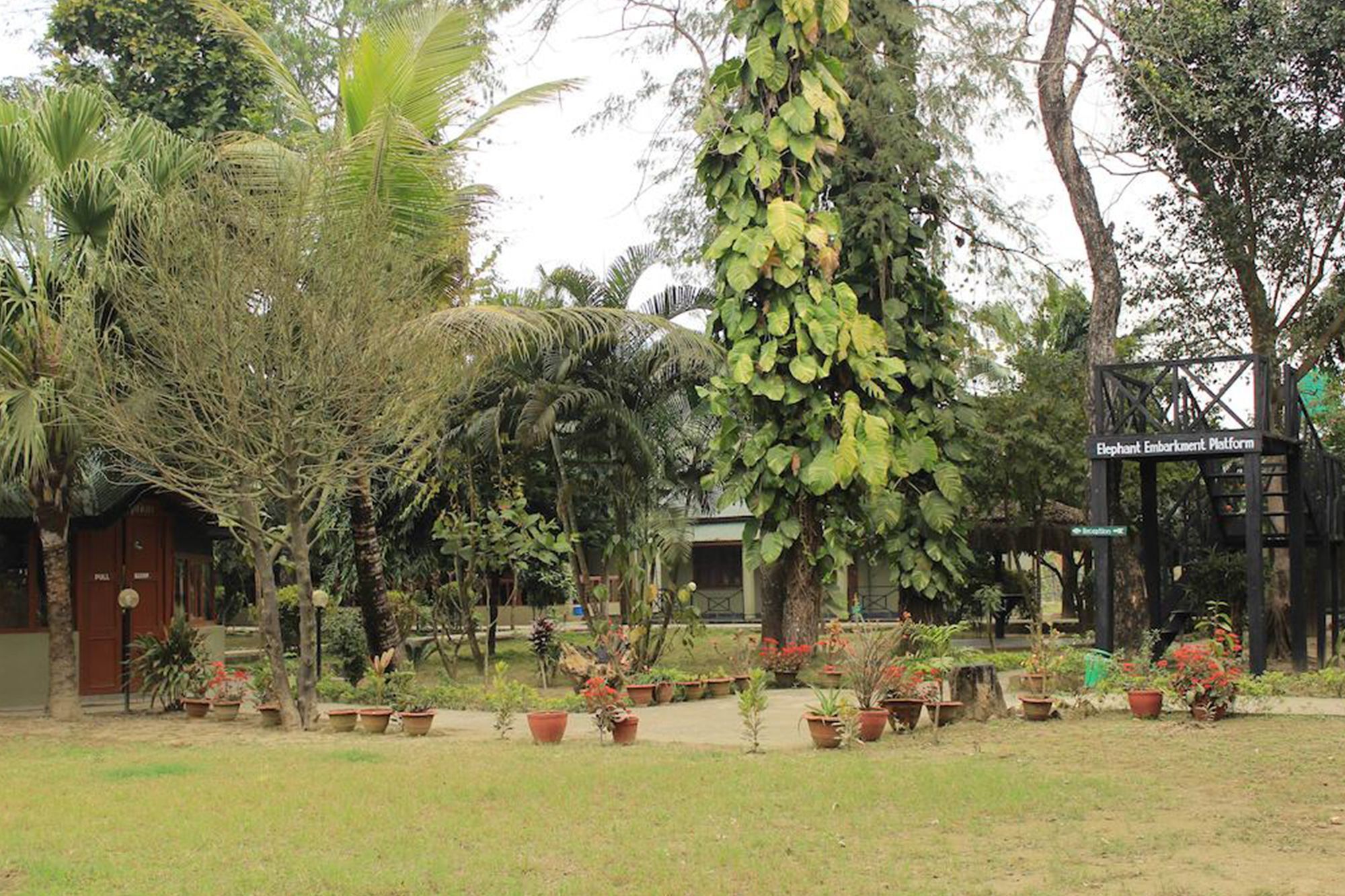 Unique Wild Resort Sauraha Exterior foto